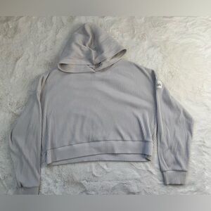 ALO Yoga Women's Light Gray Ribbed Cropped Hoodie